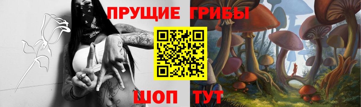 Санкт-Петербург  Псилоцибиновые грибы ЛСД  Вход с VPN 