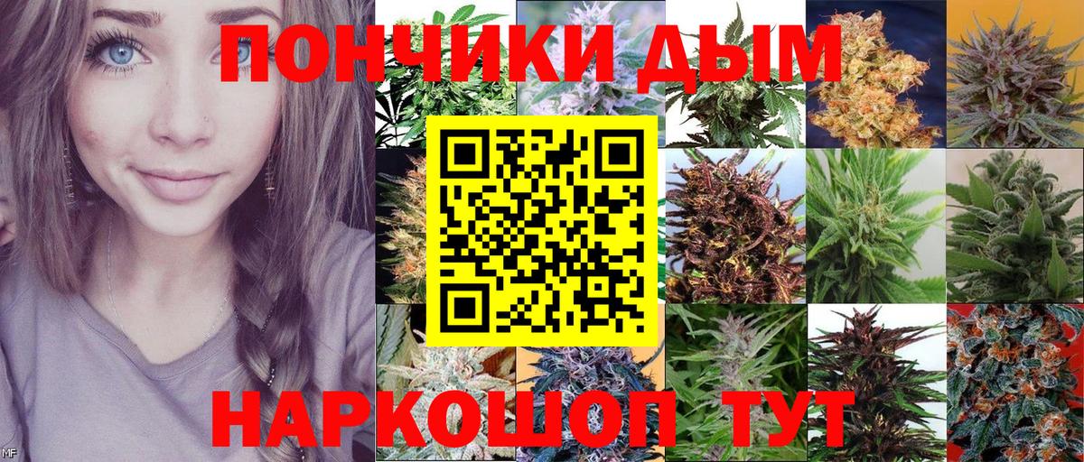 Каннабис тримм  МАРИХУАНА OG Kush  Вход с VPN  Конопля конопля  Каннабис Bruce Banner  Санкт-Петербург 